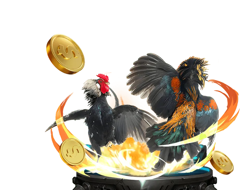 Ưu Đãi Nạp Lần Đầu Đá Gà – 78win01